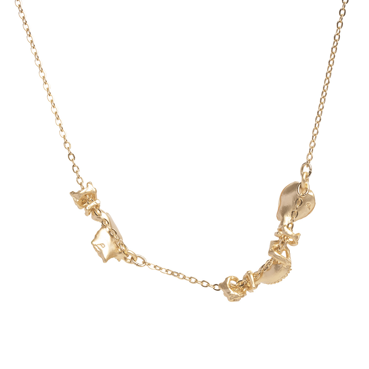 リーフパレード / Leaf's parade｜Palnart Poc STORE｜パルナート