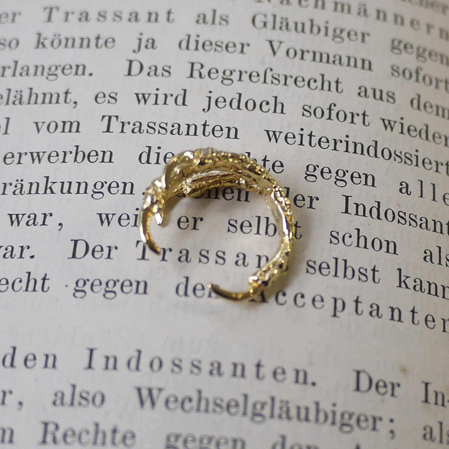 ブンチョウの足(ゴールド) / リング 【Molly Tippett】（専用BOX付き