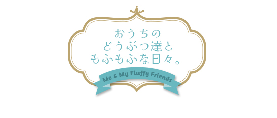 パルナートポックアクセサリー